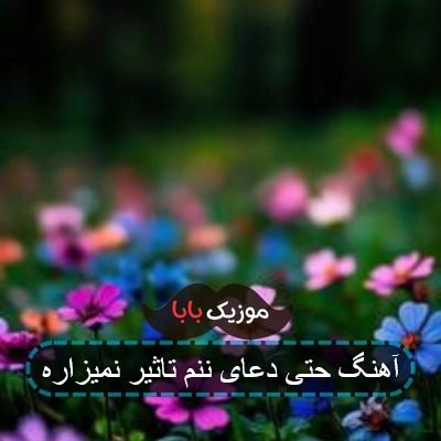 آهنگ میزنیم جنگل تو پایه باشی