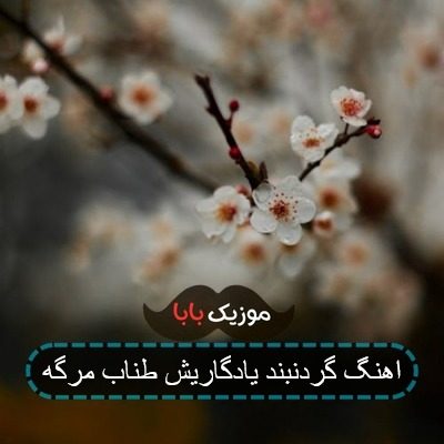 اهنگ زنجیر یادگاریش طناب مرگه