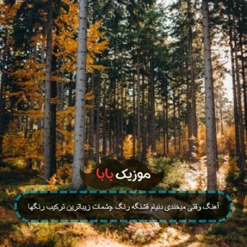 آهنگ وقتی میخندی دنیام قشنگه رنگ چشمات زیباترین ترکیب رنگها آهنگ وقتی میخندی دنیام قشنگه رنگ چشمات زیباترین ترکیب رنگها
