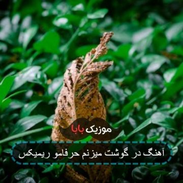 آهنگ در گوشت میزنم حرفامو ریمیکس