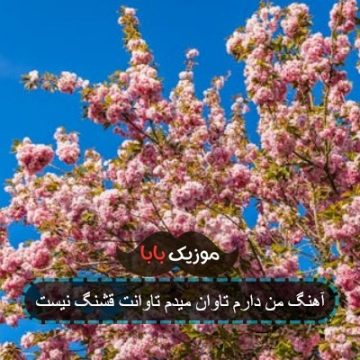 آهنگ من دارم تاوان میدم تاوانت قشنگ نیست آهنگ من دارم تاوان میدم تاوانت قشنگ نیست