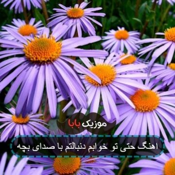 اهنگ حتی تو خوابم دنبالتم با صدای بچه