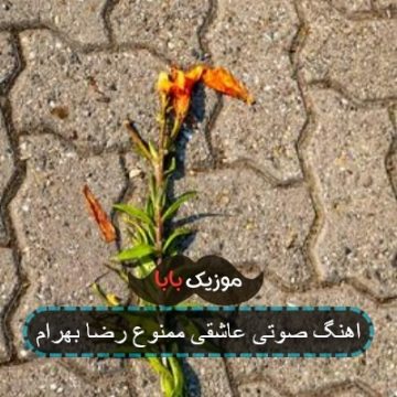 اهنگ صوتی عاشقی ممنوع رضا بهرام