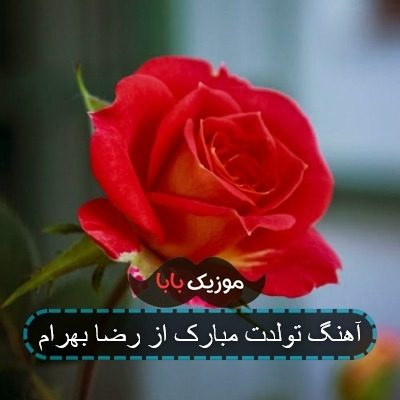 آهنگ تولدت مبارک از رضا بهرام