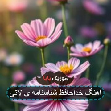 آهنگ خداحافظ شناسنامه ی لاتی