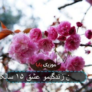 اهنگ هیجان زندگیمو عشق ۱۵ سالگیمو اهنگ هیجان زندگیمو عشق ۱۵ سالگیمو