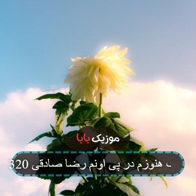 آهنگ هنوزم در پی اونم رضا صادقی 320