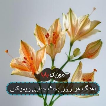 اهنگ هر روز بحث جدایی ریمیکس