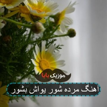 آهنگ مرده شور یواش بشور