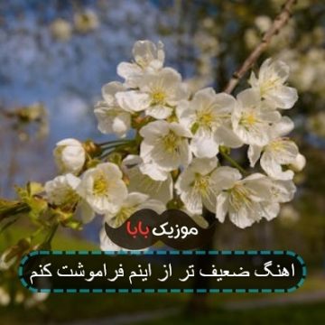 اهنگ ضعیف تر از اینم فراموشت کنم اهنگ ضعیف تر از اینم فراموشت کنم