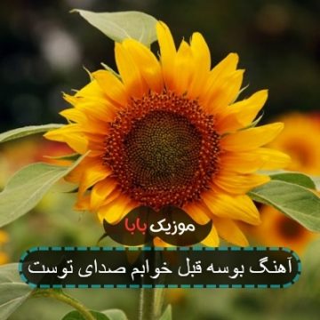 آهنگ بوسه قبل خوابم صدای توست