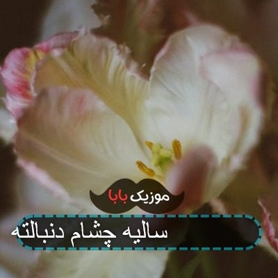 آهنگ دو سه سالیه تیمم دنبالته کدومش کارت