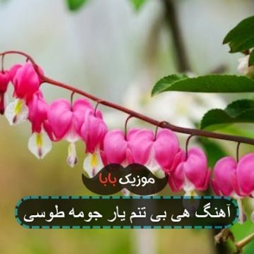 آهنگ هی بی تنم یار جومه طوسی