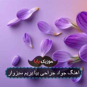 اهنگ جواد جراحی بیا بریم سبزوار اهنگ جواد جراحی بیا بریم سبزوار
