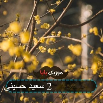 آهنگ بیعاری 2 سعید حسینی