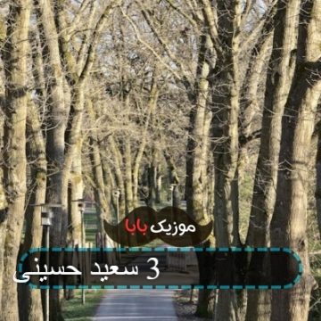 آهنگ بیعاری 3 سعید حسینی