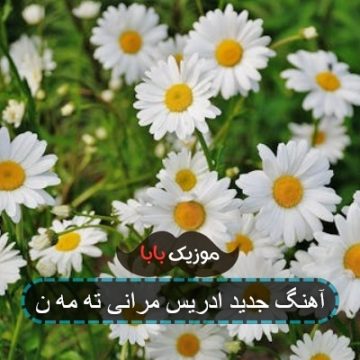 آهنگ کردی هیچ خانی تاسه ر نه یکردوه خانی آهنگ کردی هیچ خانی تاسه ر نه یکردوه خانی