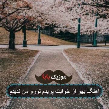 اهنگ یهو از خوابت پریدم تورو ندیدم