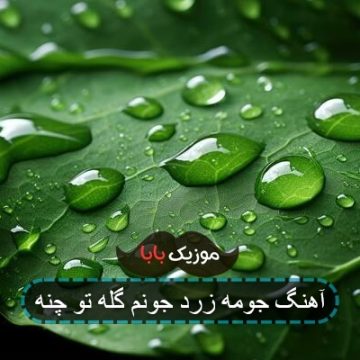 آهنگ جومه زرد جونم گله تو چنه