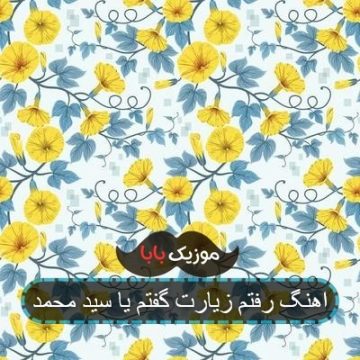 اهنگ رفتم زیارت گفتم یا سید محمد اهنگ رفتم زیارت گفتم یا سید محمد
