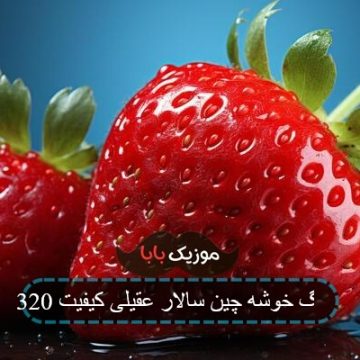 آهنگ خوشه چین سالار عقیلی کیفیت 320