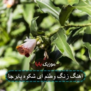 آهنگ وطنم ای شکوه پابرجا ریمیکس آهنگ وطنم ای شکوه پابرجا ریمیکس