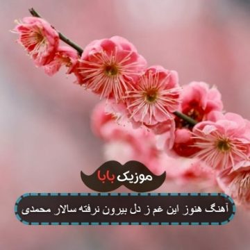 آهنگ هنوز این غم ز دل بیرون نرفته سالار محمدی