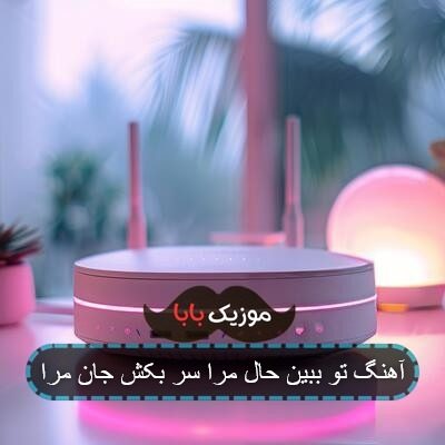 آهنگ تو ببین حال مرا سر بکش جان مرا