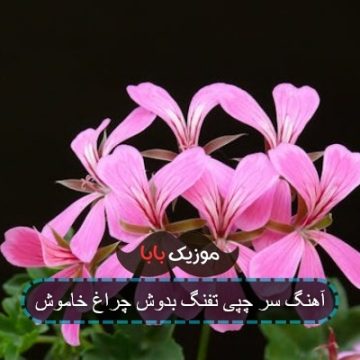 آهنگ سر چپی تفنگ به دوش