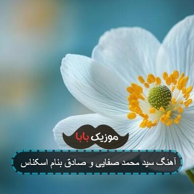 آهنگ سید محمد صفایی و صادق بنام اسکناس آهنگ سید محمد صفایی و صادق بنام اسکناس