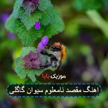 اهنگ مقصد نامعلوم سیوان گاگلی
