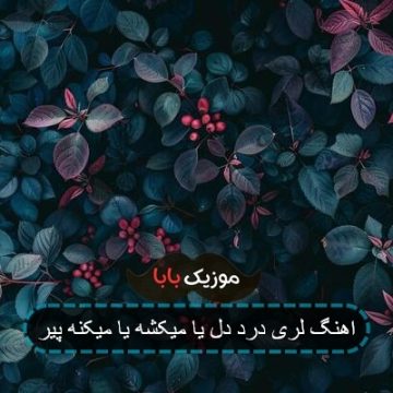 اهنگ لری درد دل یا میکشه یا میکنه پیر