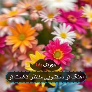اهنگ تو دستشویی منتظر تکست تو