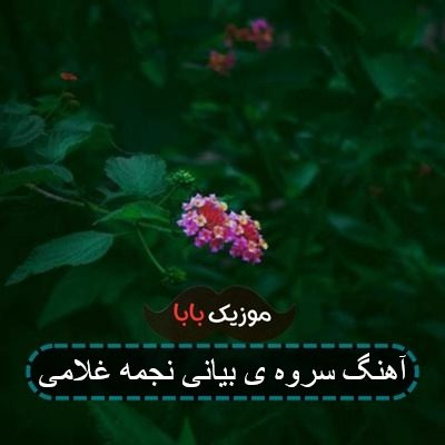 آهنگ سروه ی بیانی نجمه غلامی