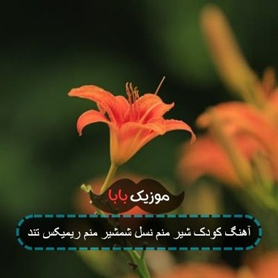 آهنگ کودک شیر منم نسل شمشیر منم ریمیکس تند