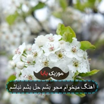 اهنگ شادی یه جایی تو درونه رض