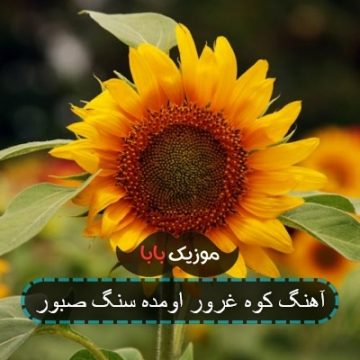 آهنگ سجده به عشقت میزنم از شادمهر آهنگ سجده به عشقت میزنم از شادمهر