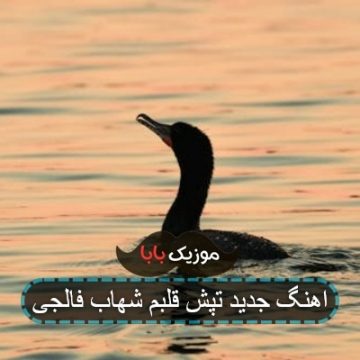 اهنگ کامل تپش قلبم بان هزاره