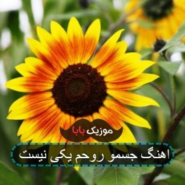 اهنگ جسمو روحم یکی نیست