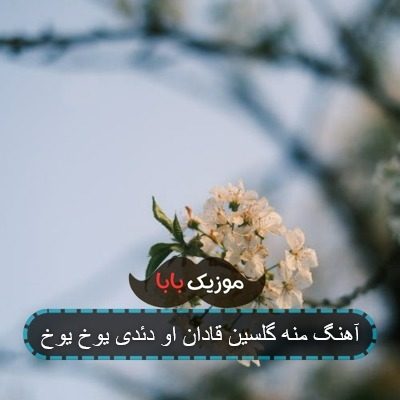 آهنگ منه گلسین قادان او دئدی یوخ یوخ آهنگ منه گلسین قادان او دئدی یوخ یوخ