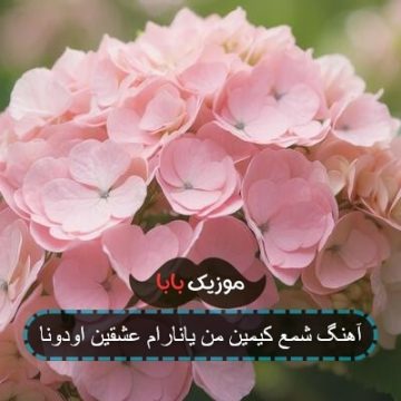 آهنگ شمع کیمین من یانارام عشقین اودونا