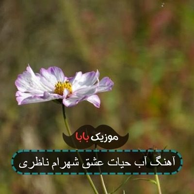 آهنگ آب حیات عشق شهرام ناظری