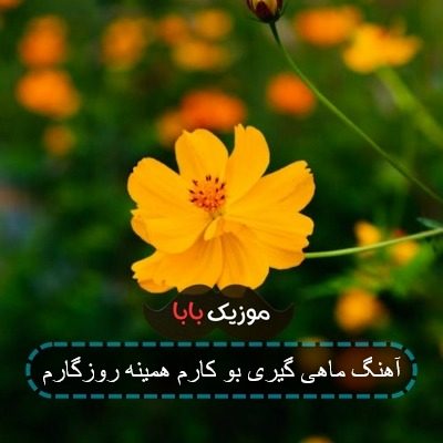 آهنگ ماهی گیری بو کارم همینه روزگارم