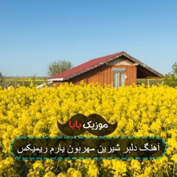 آهنگ دلبر شیرین مهربون یارم ریمیکس آهنگ دلبر شیرین مهربون یارم ریمیکس