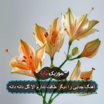 آهنگ جدایی را دیگر طاقت ندارم الا گل دانه دانه آهنگ جدایی را دیگر طاقت ندارم الا گل دانه دانه