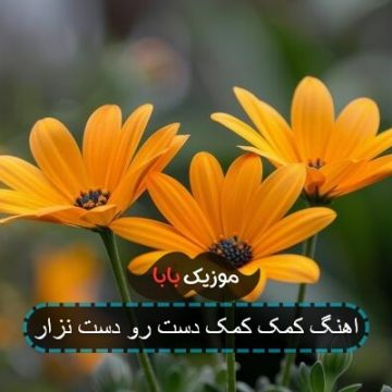آهنگ جدید کمک کمک بچه را نگاه کدیم خوب کدیم