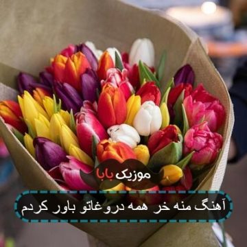 آهنگ منه خر همه دروغاتو باور کردم ریمیکس تند