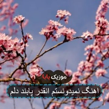 اهنگ نمیدونستم انقدر پابند دلم اهنگ نمیدونستم انقدر پابند دلم