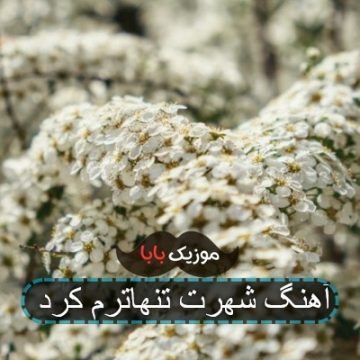 اهنگ بیدارمو فکر فردام زیر دردام