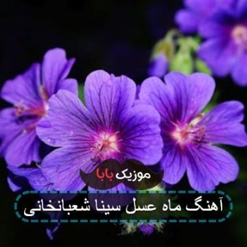 آهنگ ماه عسل سینا شعبانخانی